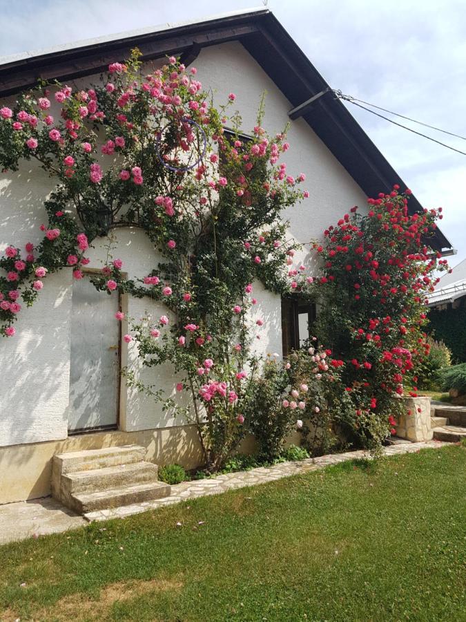 Apartman Ivano Apartmán *